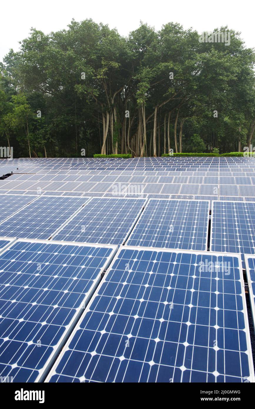 Auroville, India - December 2017: Huge field covered by solar panels in Matrimandir area. Stock Photo