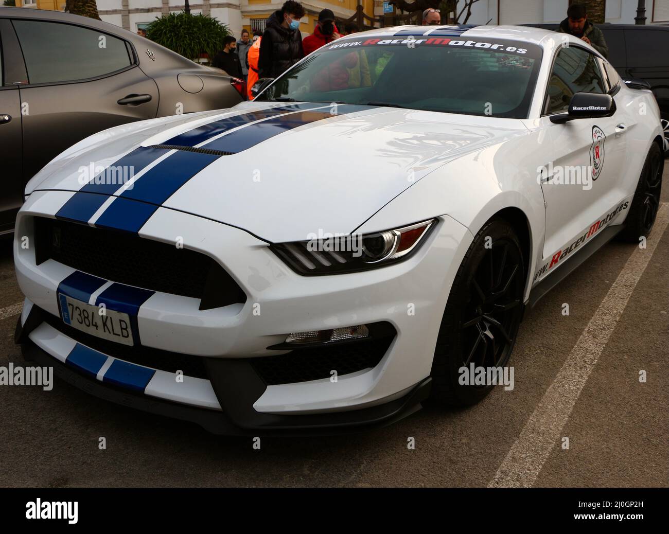 Gt350 avalanche gray Ford Mustang