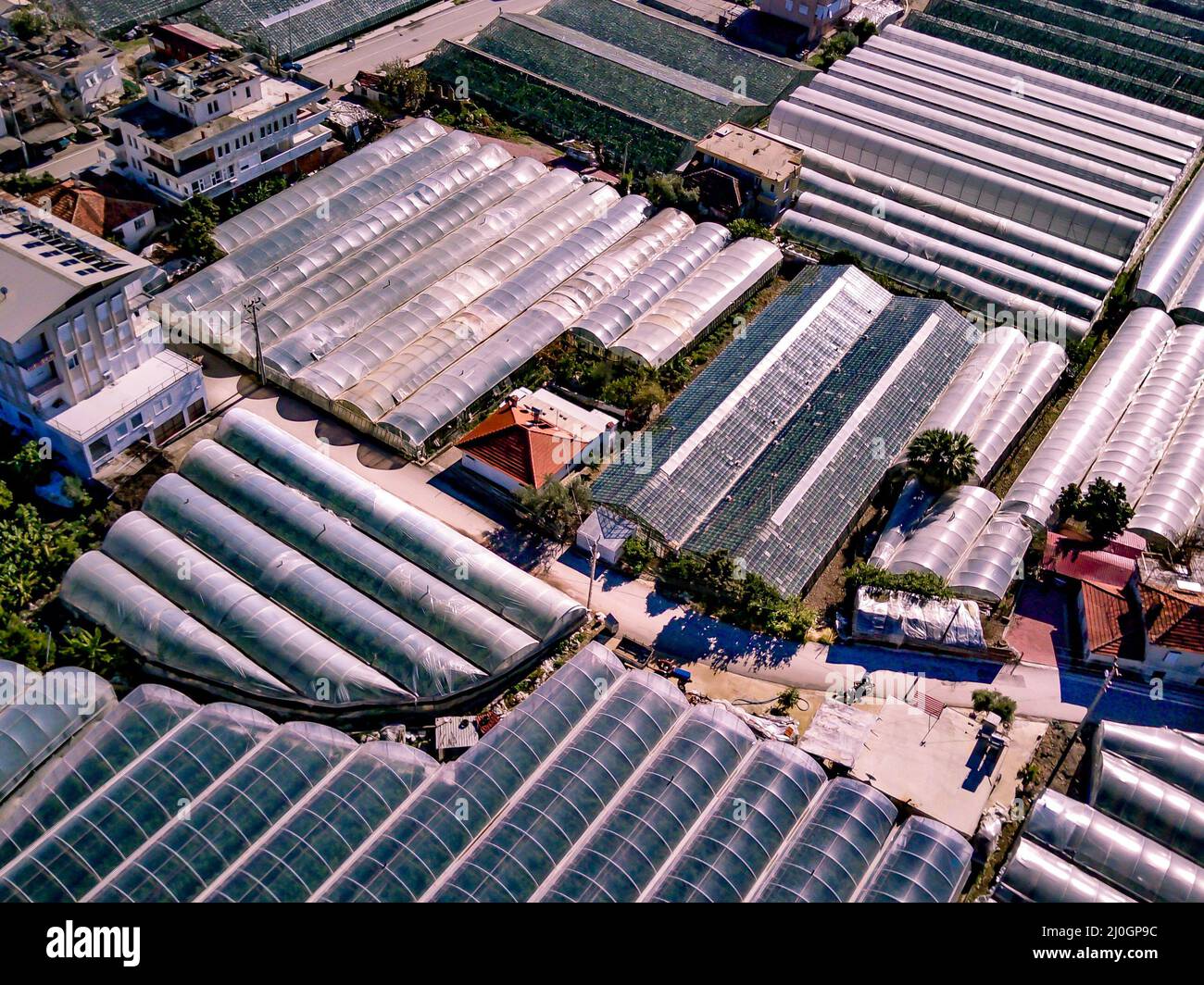 Greenhouses endless pattern hi-res stock photography and images - Alamy
