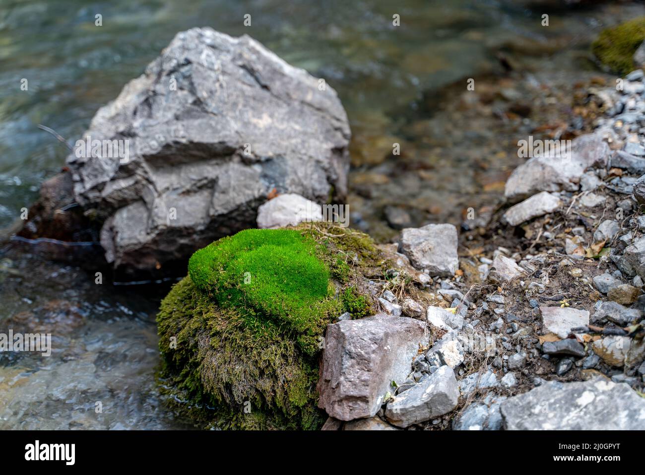 The small cute stream flows between green moss and stones in Fann mountains in Tajikistan Stock Photo