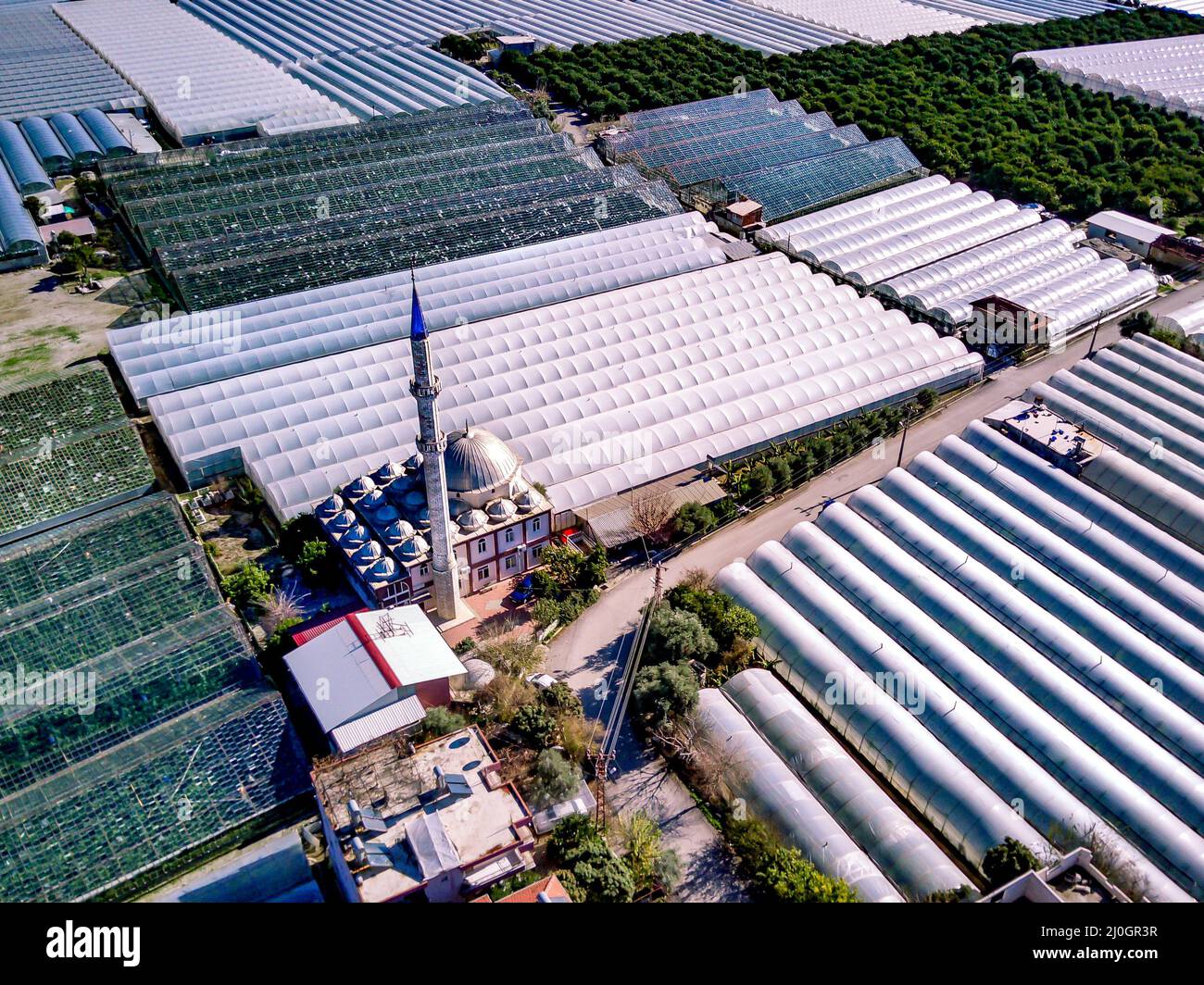 High angle drone aerial view of greenhouse fields of greens plantation in Demre - Antalya province in Turkey Stock Photo