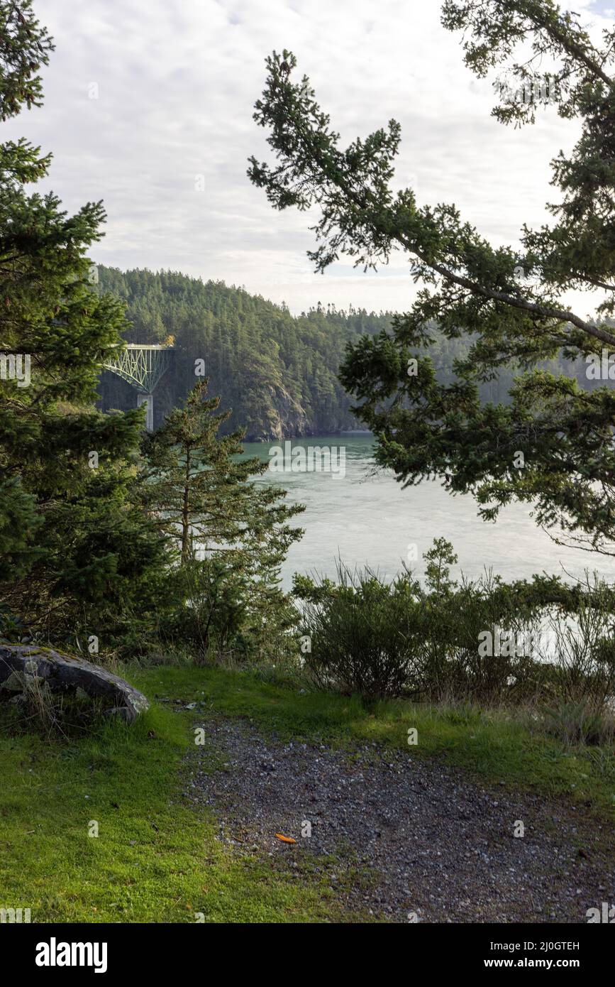 view of ocean inlet through pine forests on cliffsides with gravel ...