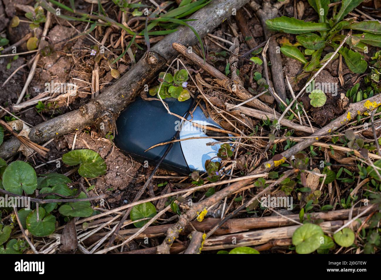 Electronic waste in the form of a computer mouse is thrown away by the wayside and poisons nature Stock Photo