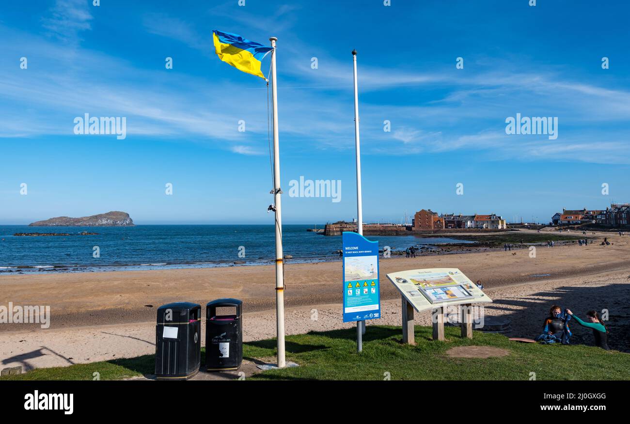North Berwick, East Lothian, Scotland, United Kingdom, 19th March 2022. UK Weather: Ukrainian colours. On a bright sunny Spring day with a stiff breeze and chilly temperature, North Berwick shows its solidarity with Ukraine in different locations around the seaside town. Pictured: the Ukrainian flag flies next to West Beach Stock Photo