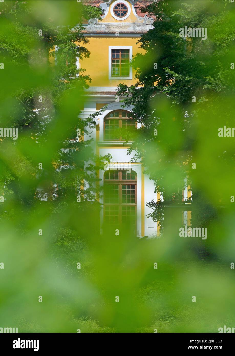 View through leafy green onto the baroque Neschwitz Castle, portrait format Stock Photo