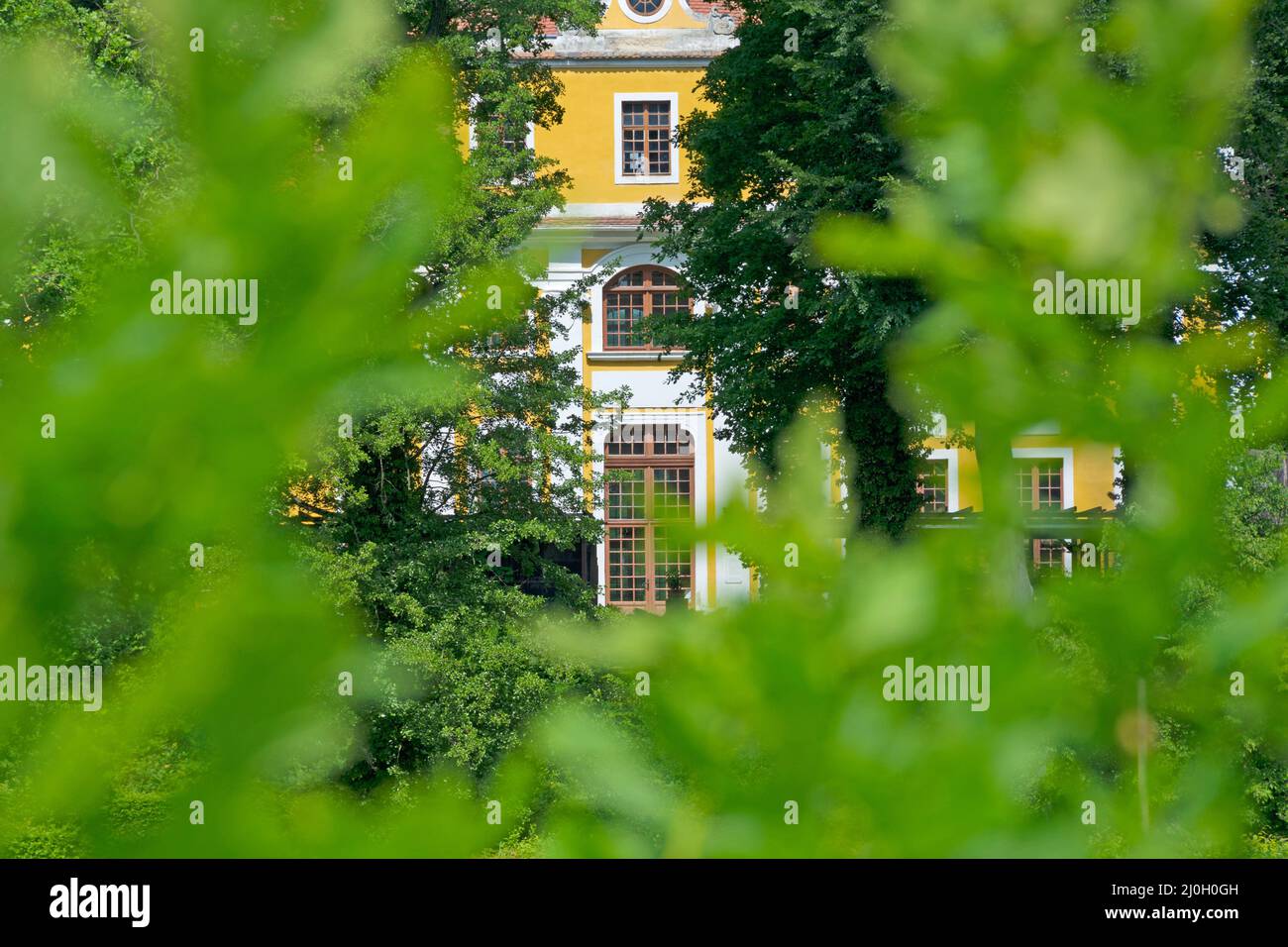 View through leafy green onto the baroque Neschwitz Castle Stock Photo