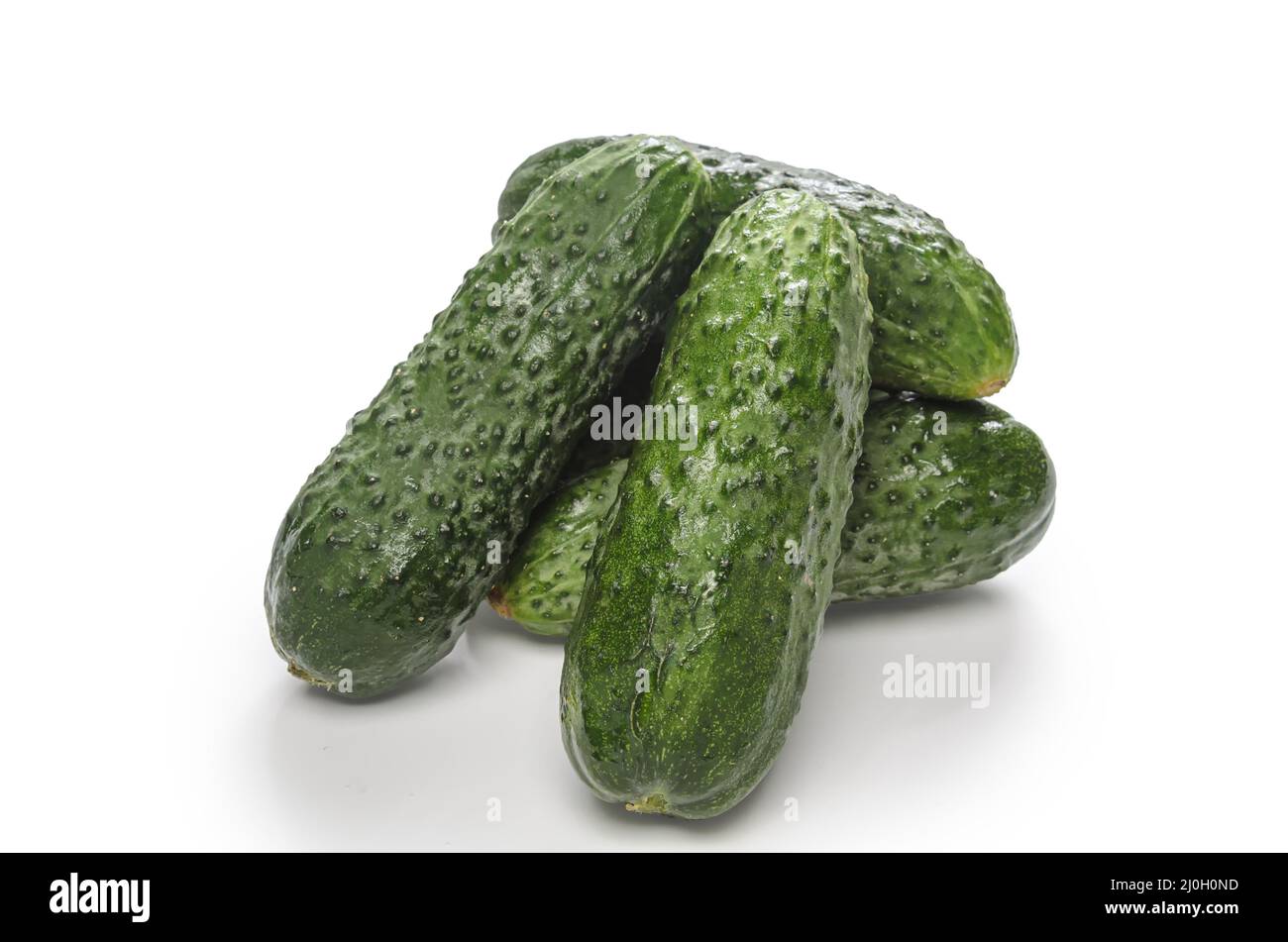 Cucumbers on white background with soft shadow Stock Photo