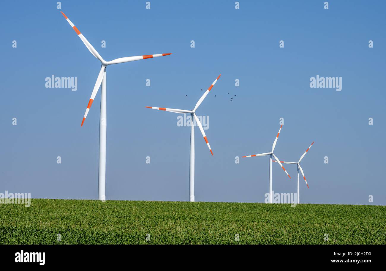 Modern wind turbines in a grainfield seen in Germany Stock Photo Alamy