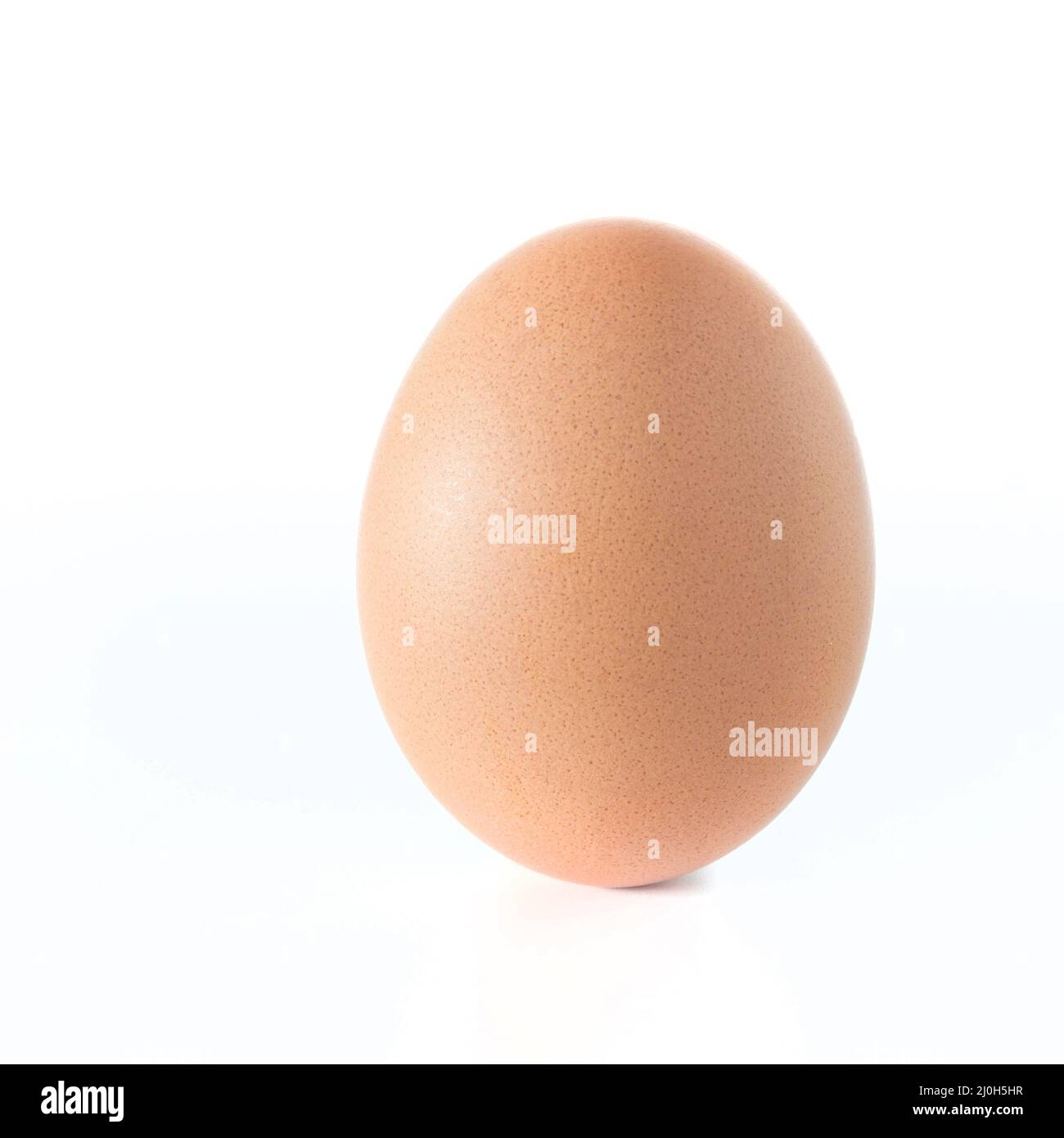 Egg over white Stock Photo