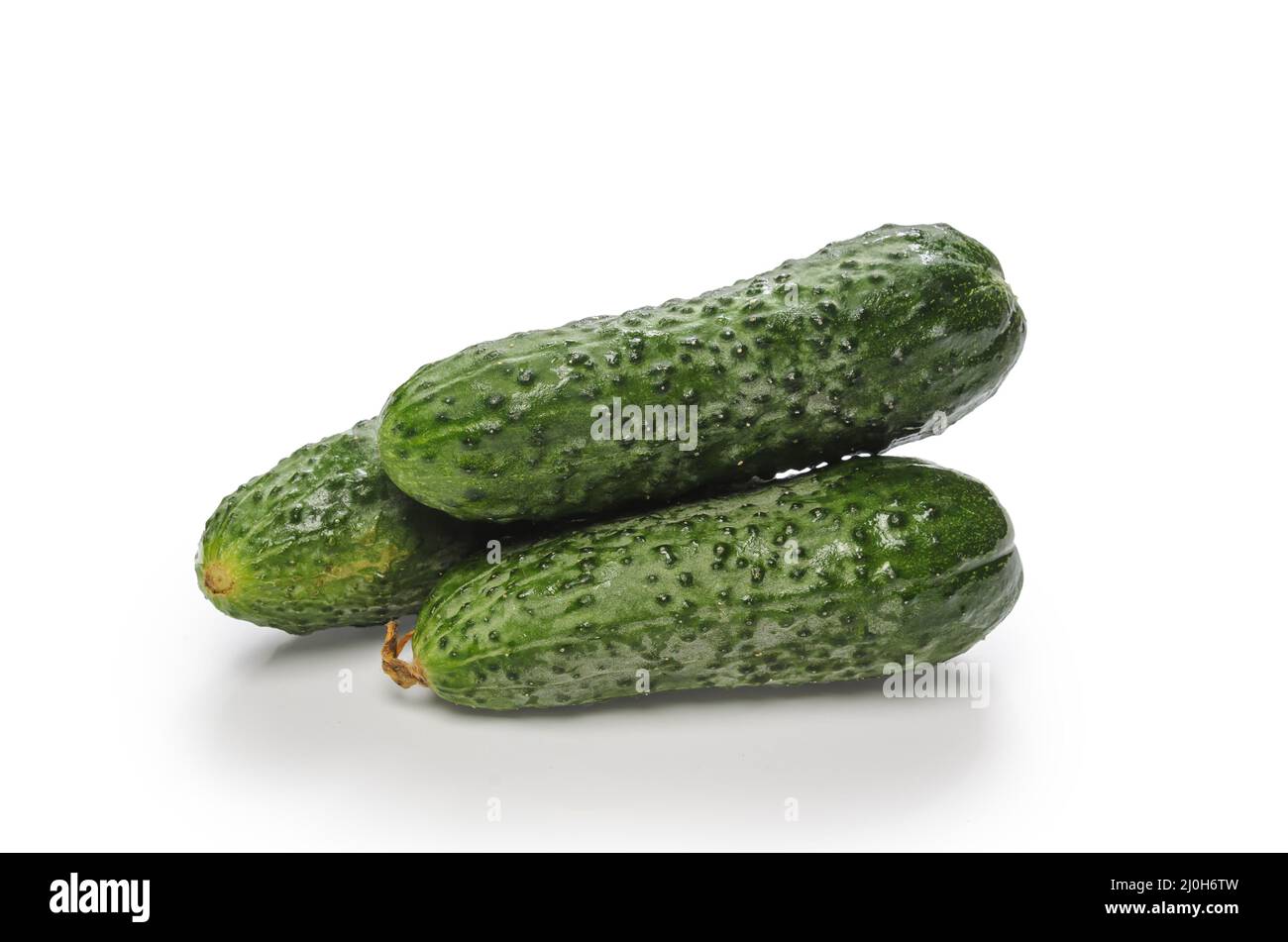 Cucumbers on white background with soft shadow Stock Photo