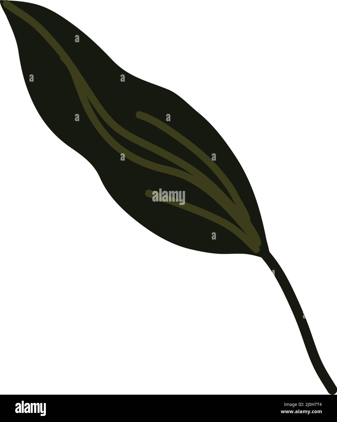 leaf nature icon Stock Vector Image & Art - Alamy