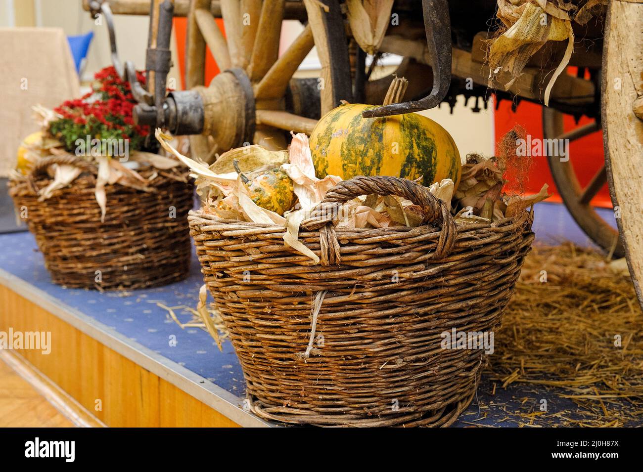 Large wicker basket with freshly picked vegetables under the wheeled cart Stock Photo