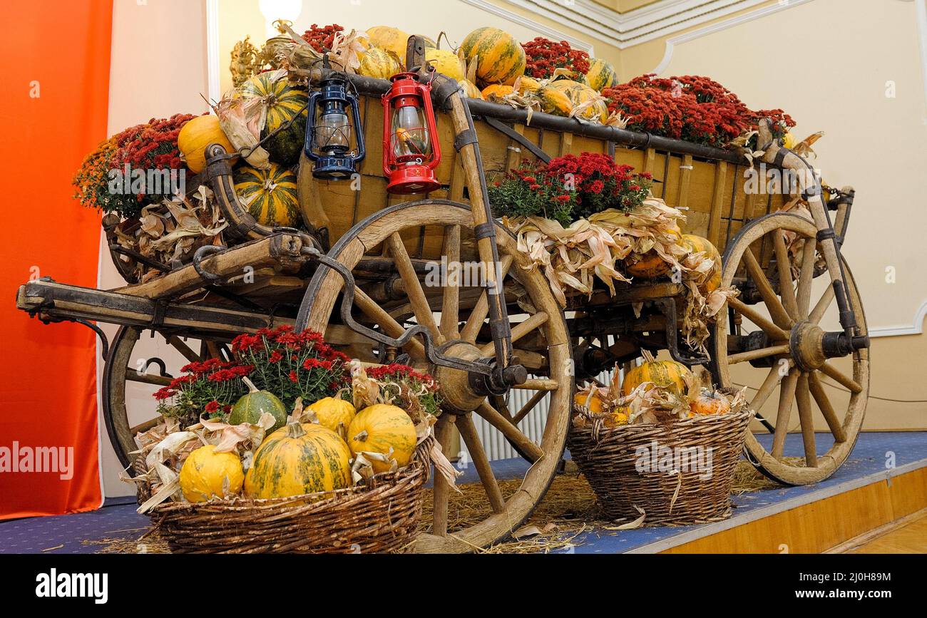 Wicker baskets under the wheeled cart with freshly picked vegetables Stock Photo