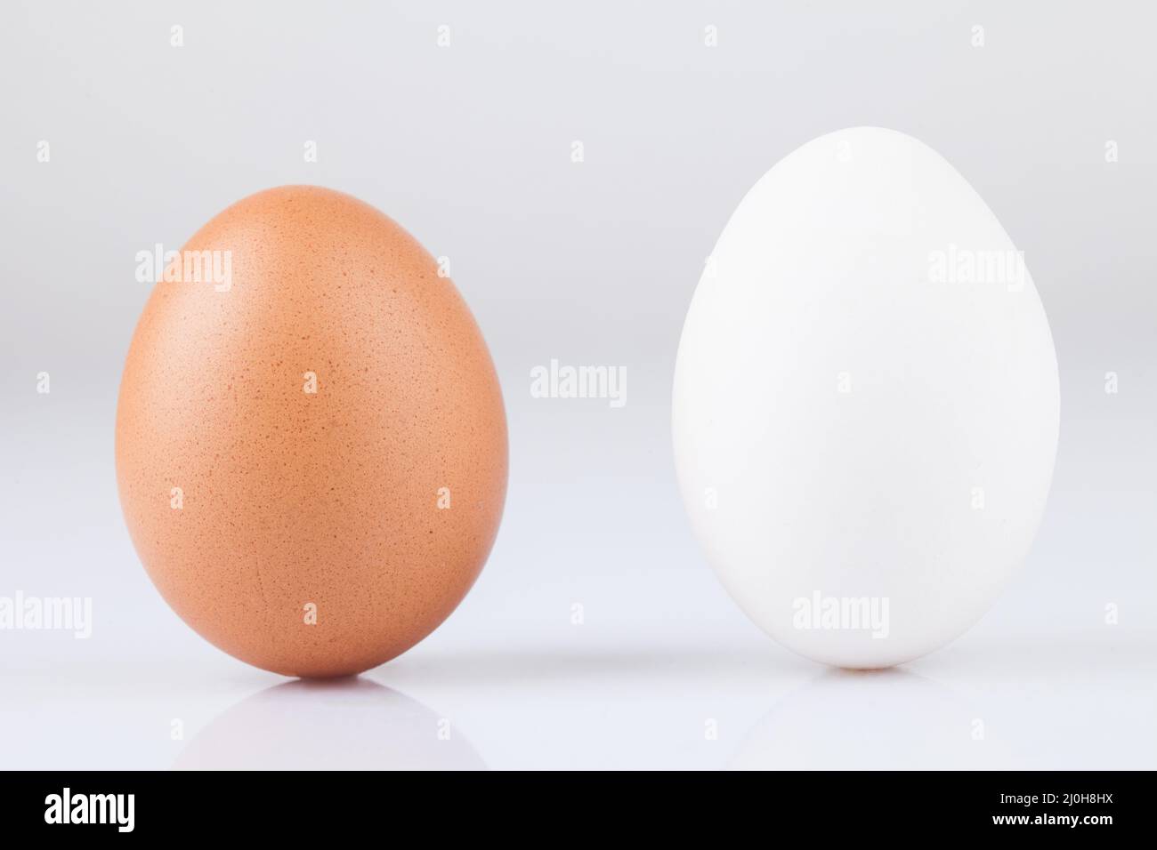 Chicken eggs isolated on a white background Stock Photo - Alamy
