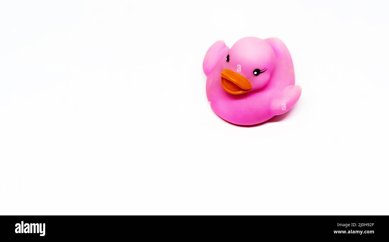 Pink rubber duck with orange beak isolated on a white background. Stock Photo