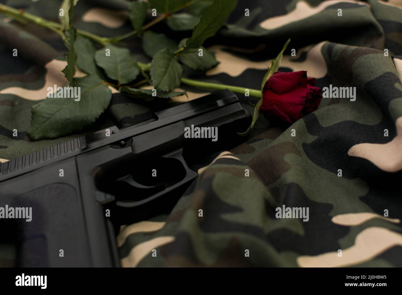 Red rose and black handgun on military camouflage uniform background Stock Photo