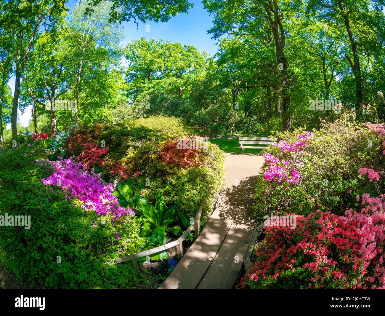 Beautiful flower garden in London in the springtime Stock Photo Alamy