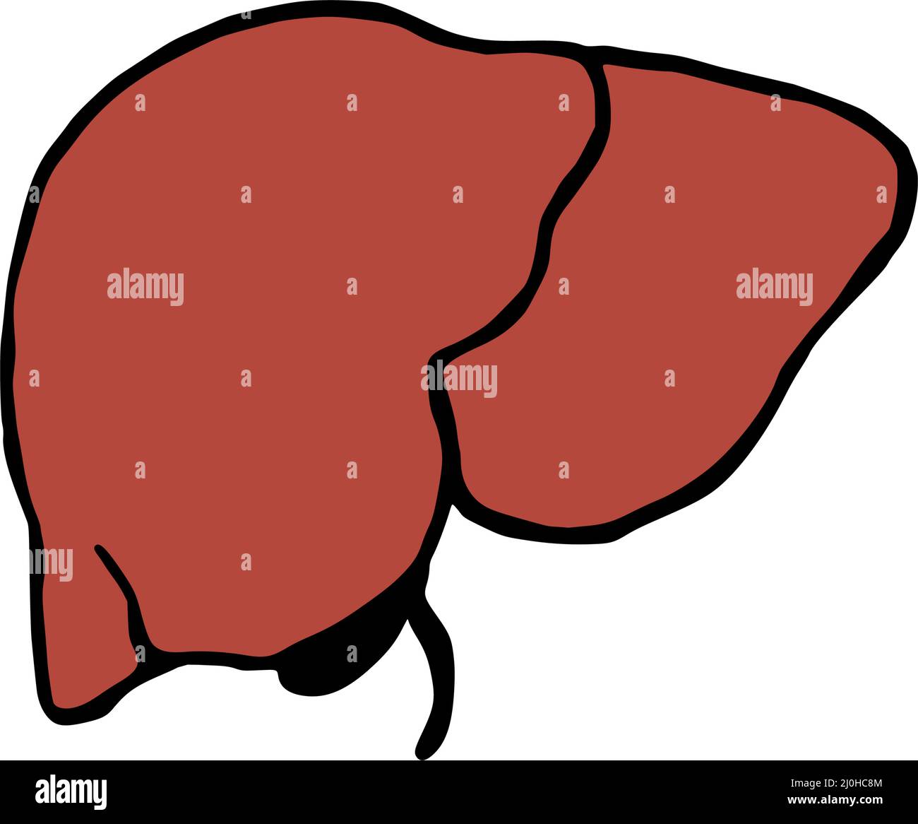 Liver doodle vector illustration. Human internal organ cartoon icon ...