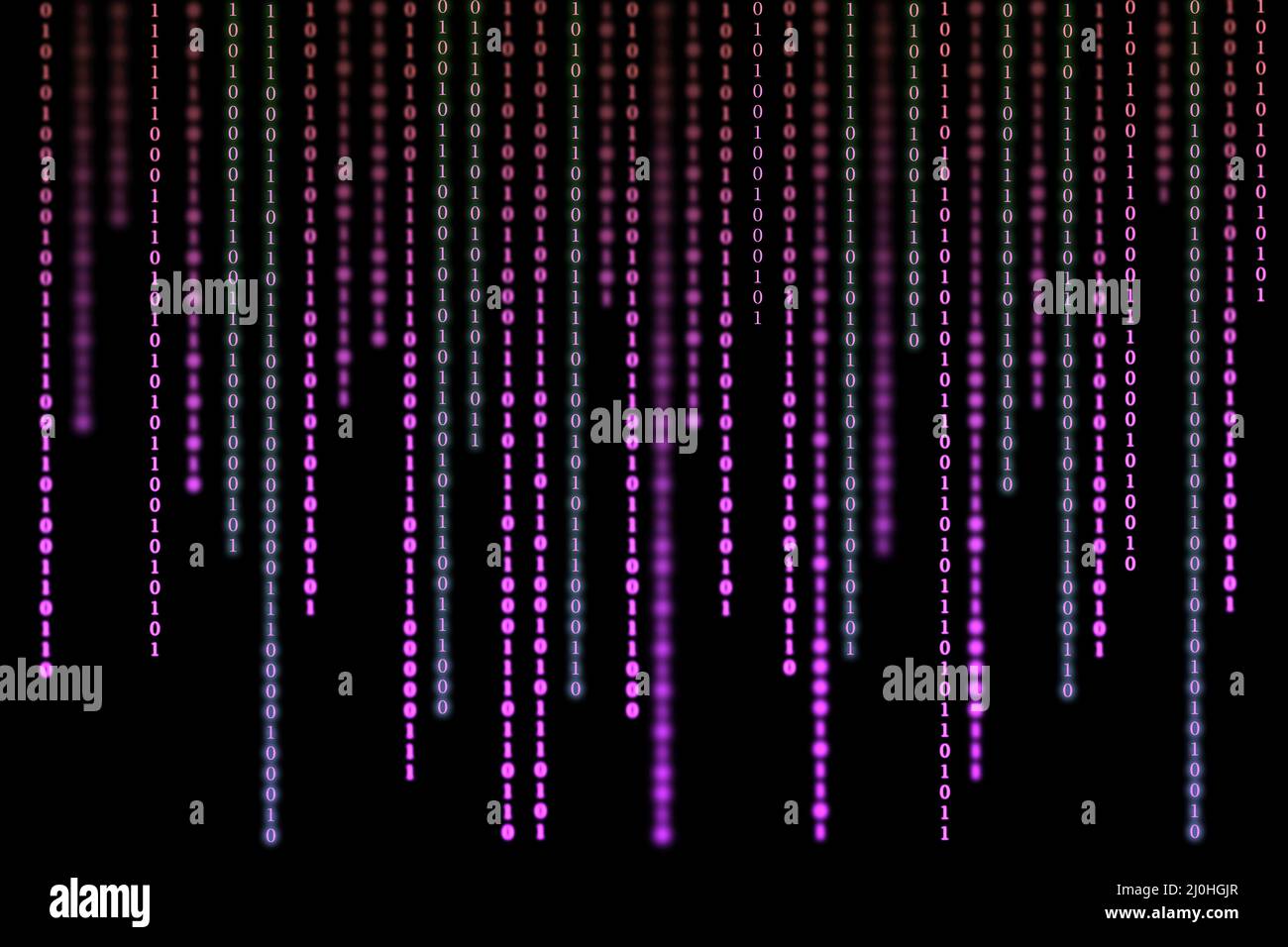 Purple matrix background of binary numbers. Matrix of computer data. Vertical digital binary code moves down. Black background space with layered codi Stock Photo