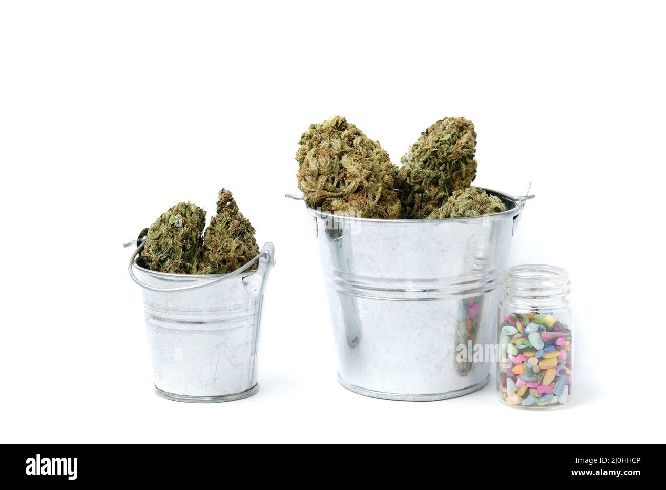 Dry marijuana in buckets and fertilizer isolated on white background. Hemp harvest concept. Productivity in cannabis industry. Stock Photo