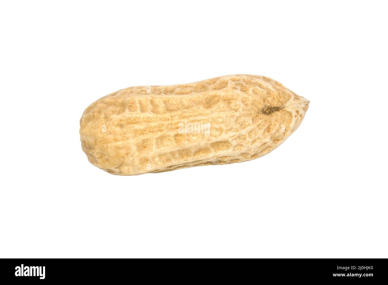 Dry nut with peel isolated on white background Stock Photo