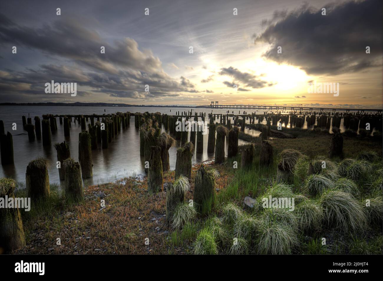 Wood pilings at sunset in Oregon. Stock Photo