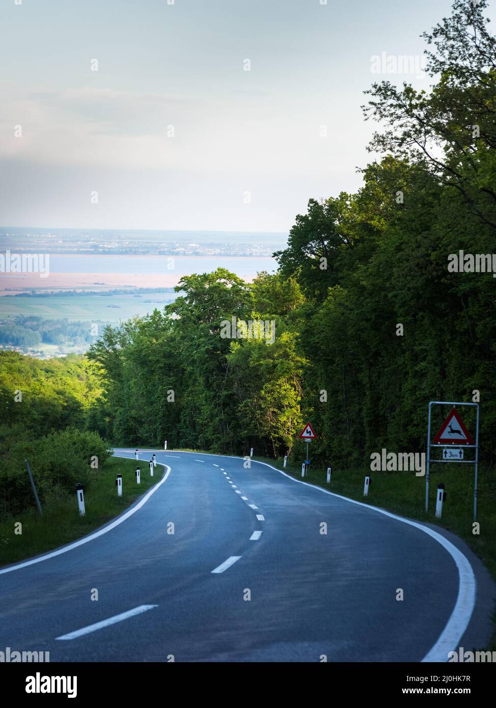 Road between forest of Leitha Mountains towards lake neusiedl in