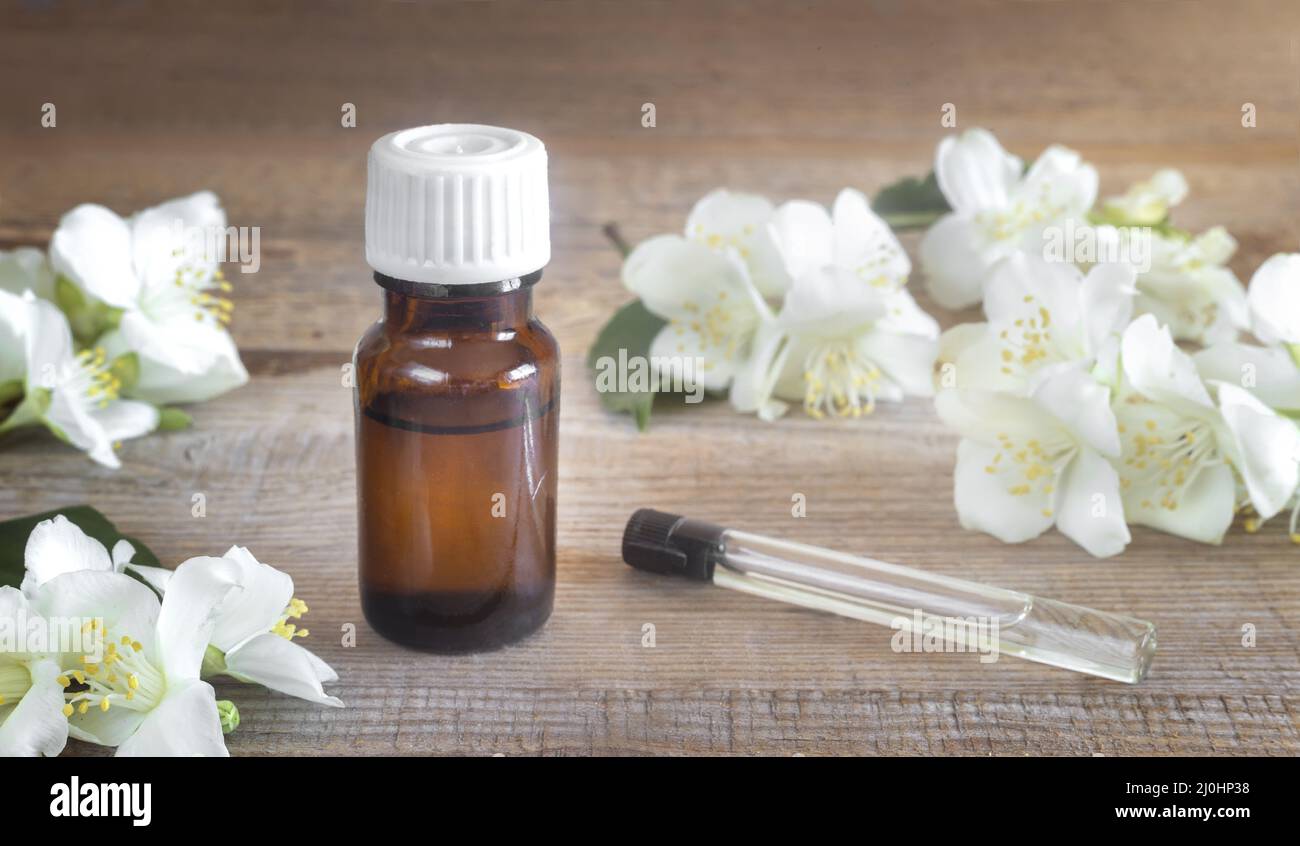 Jasmine Essential Oil In A Glass Dropper On A Background Of Jasmine Flowers  Stock Photo - Download Image Now - iStock