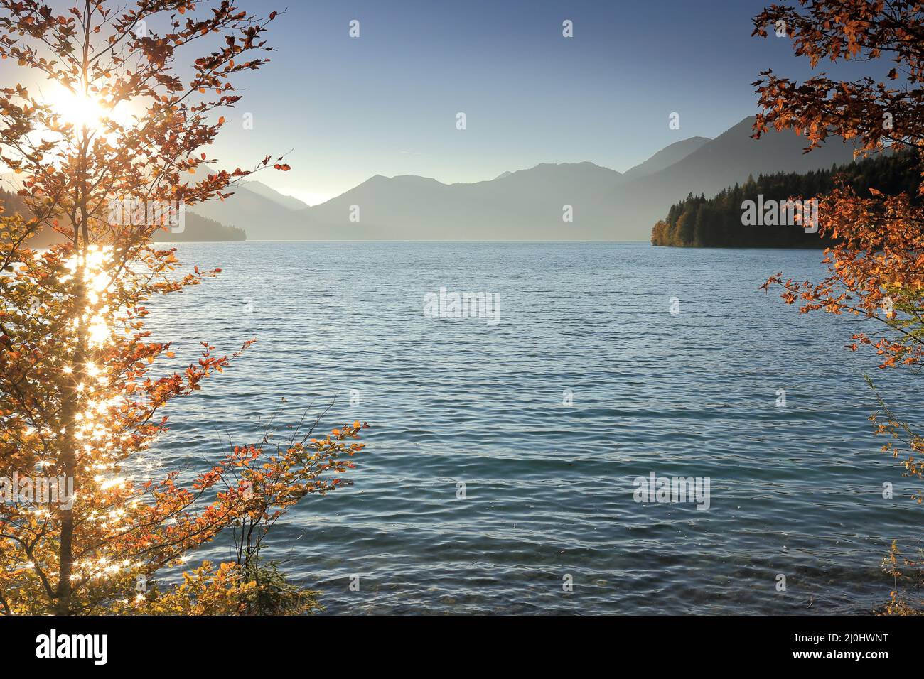 Lake in autumn Stock Photo