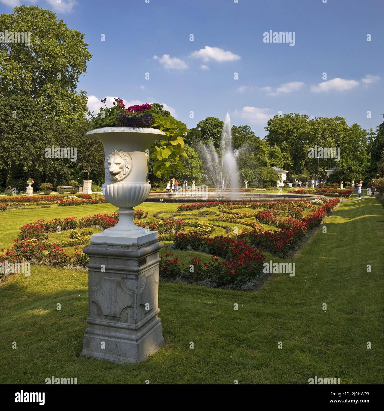 My Image 21
