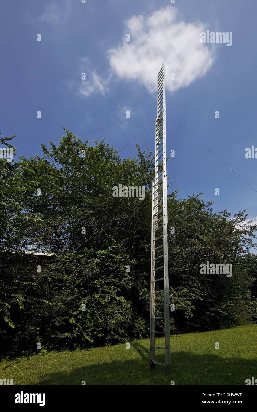 Artwork by Bethan Huws with the title Ysgol, aluminum ladder, sculpture park, Cologne, Germany Stock Photo