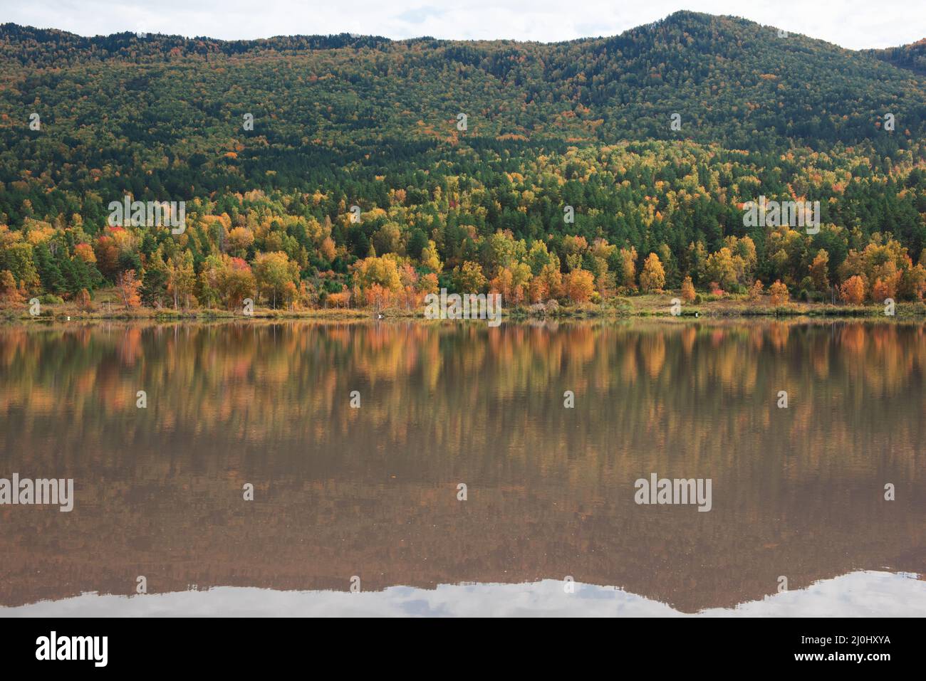 Autumn reflections lake Stock Photo - Alamy
