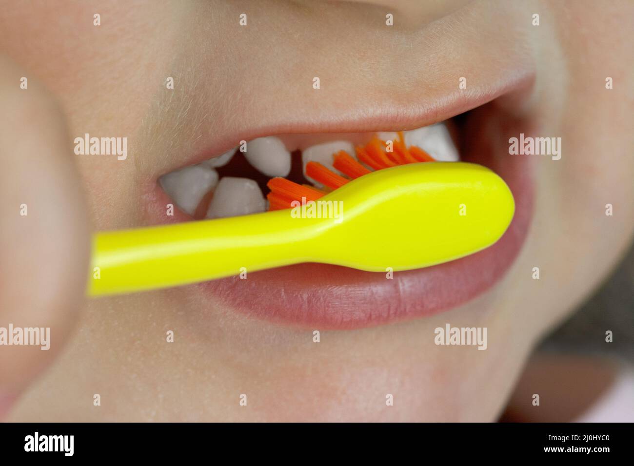 Toddler brushes her teeth with toothbrush Stock Photo