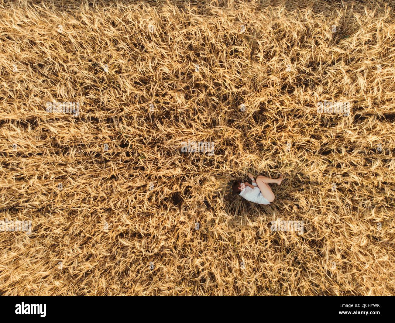 Aerial view of woman lying in the field of wheat Stock Photo - Alamy