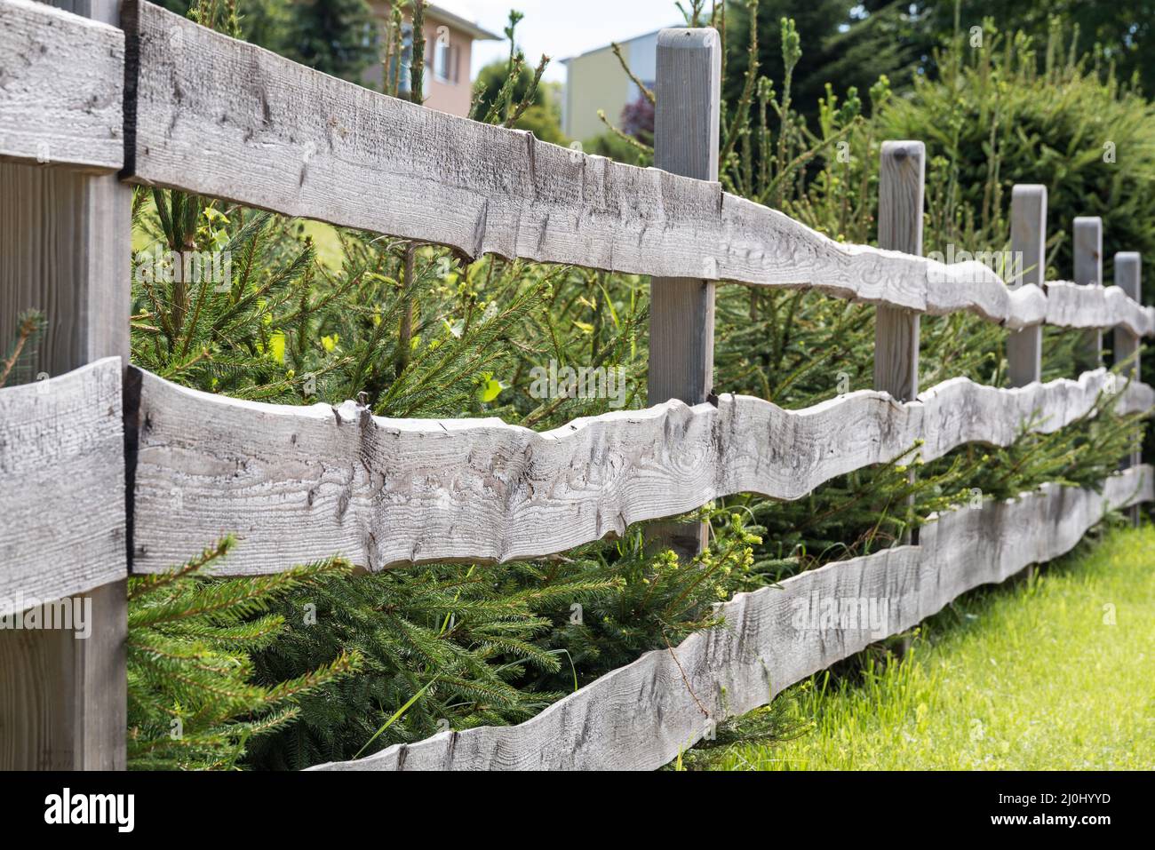 Garden fence made of old boards - picket fence Stock Photo