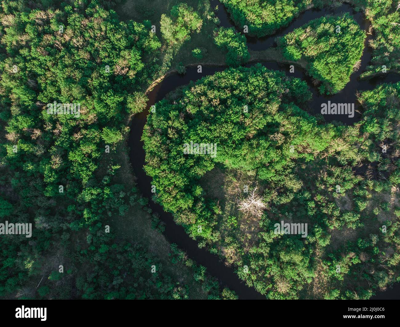 Peaceful river forest shot drone hi-res stock photography and images ...