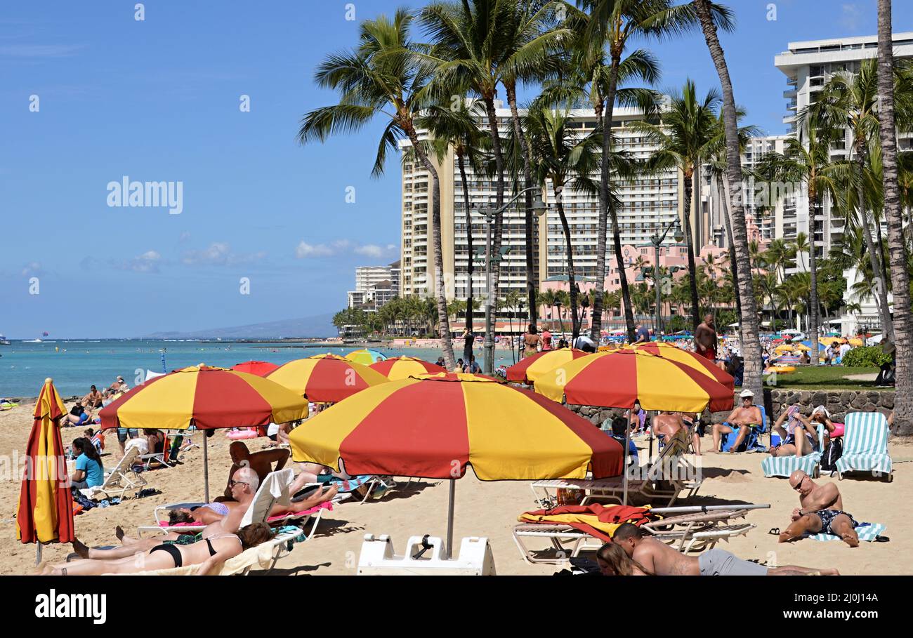 Waikiki beach oahu hawaii street hi-res stock photography and images ...
