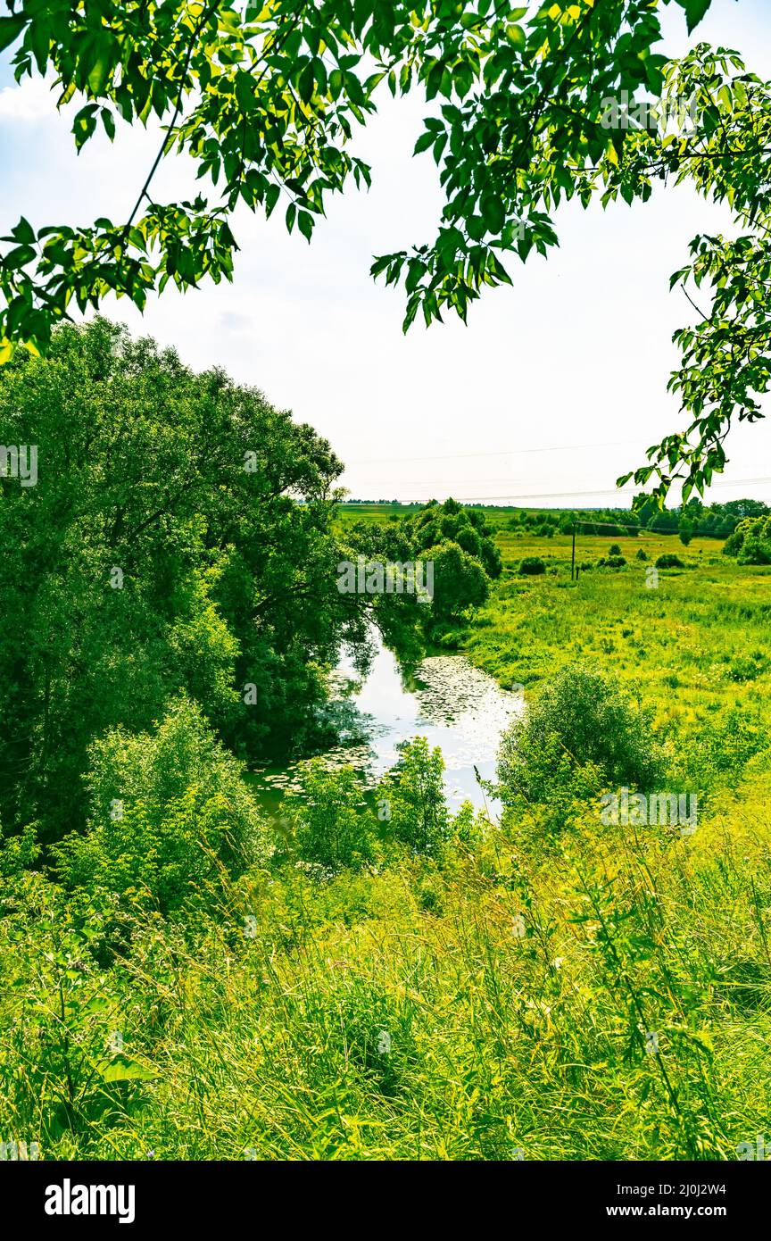 River forest landscape Stock Photo