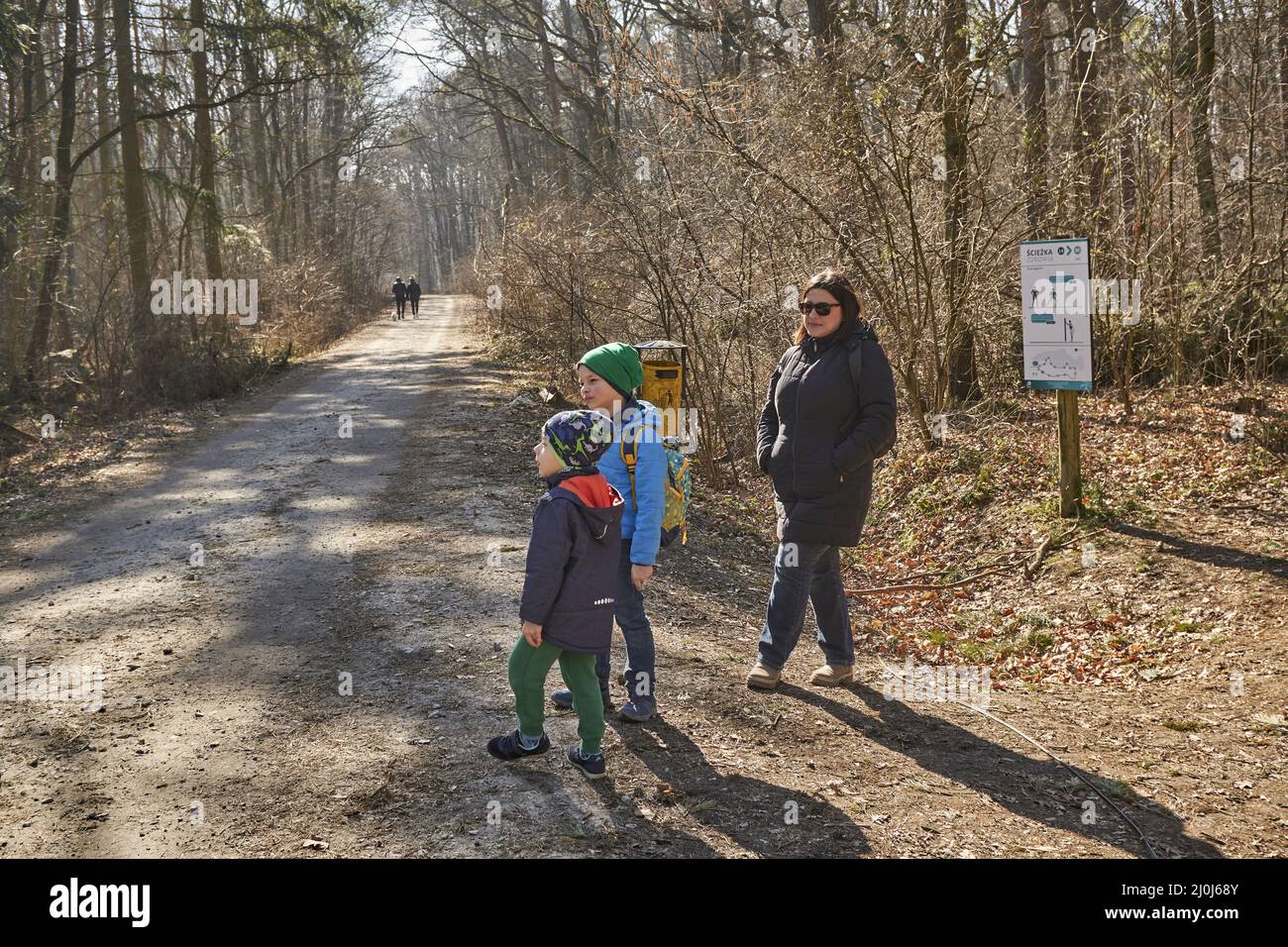 Two boys and their mother staying in the forest on a path Stock Photo ...