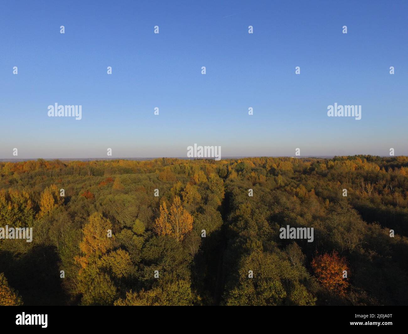 Top view for trees in fall hi-res stock photography and images - Alamy