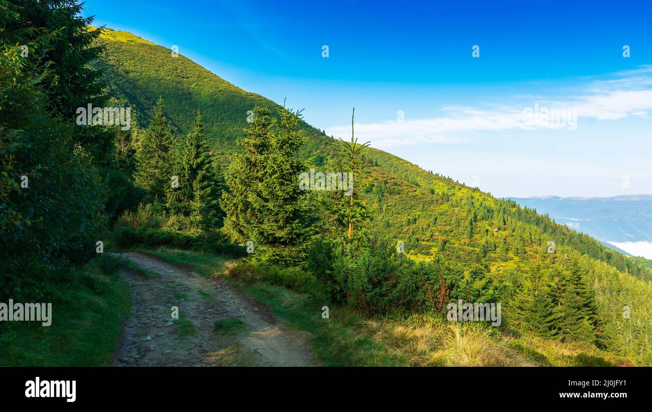 path uphill in to the mountains. beautiful carpathian landscape on a summer morning. warm sunny weather with almost cloudless blue sky. travel country Stock Photo