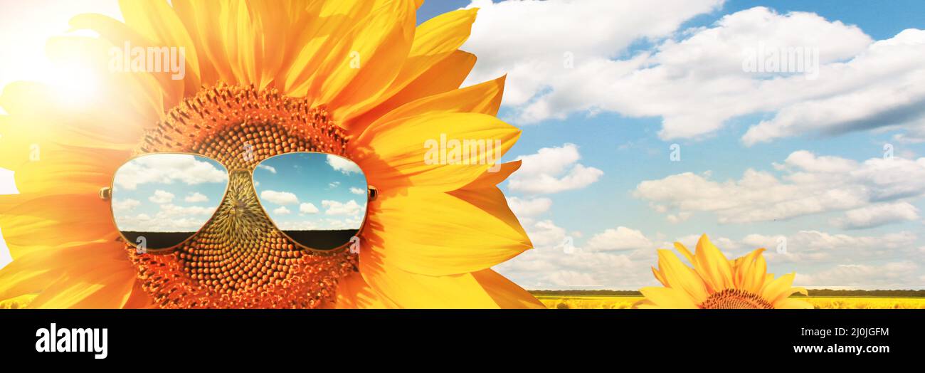 Funny sunflower with sunglasses on a blue sky Stock Photo