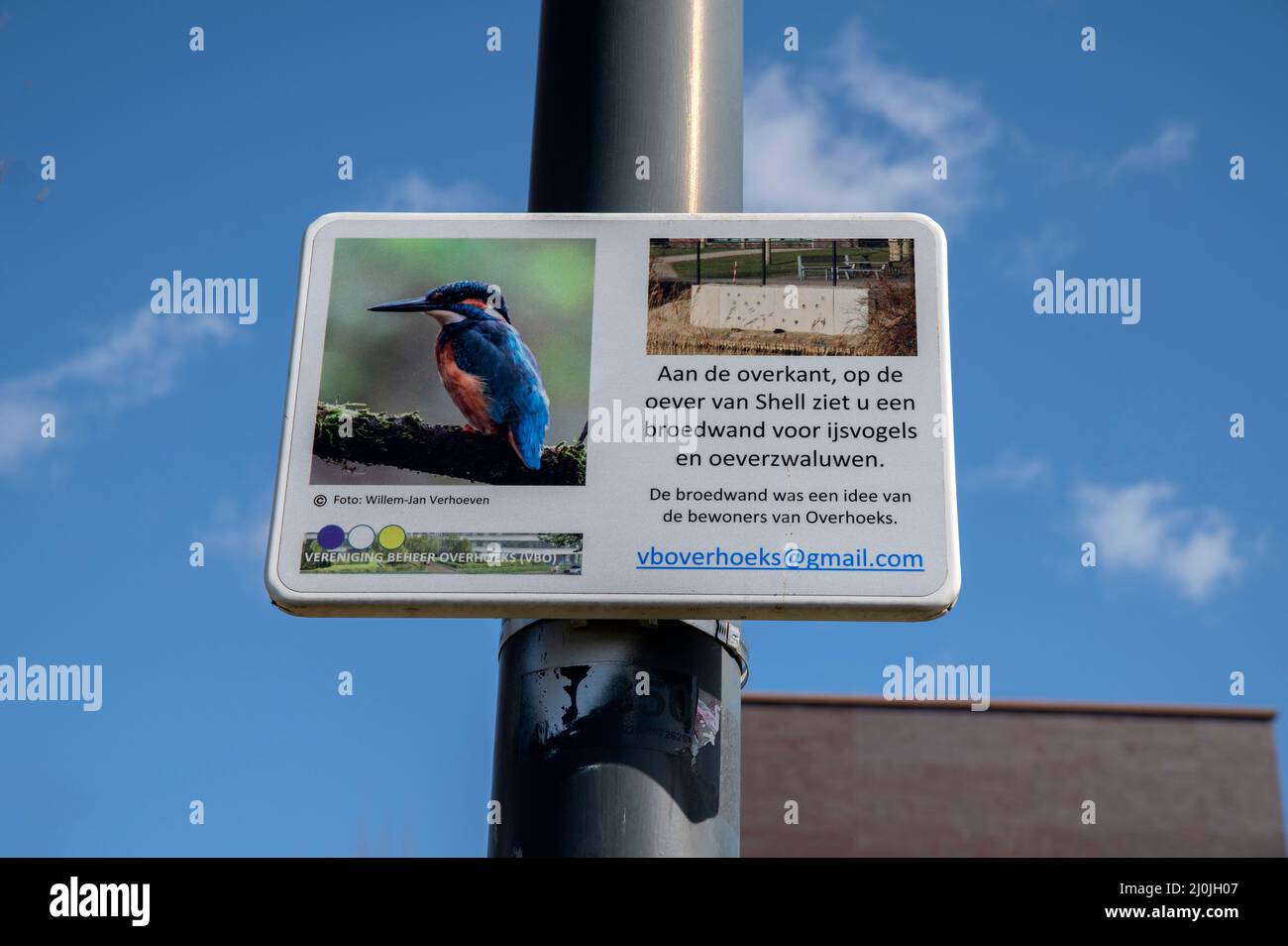 Billboard Vereniging Beheer Overhoeks With A Common Kingfisher At Amsterdam The Netherlands 17-3-2022 Stock Photo