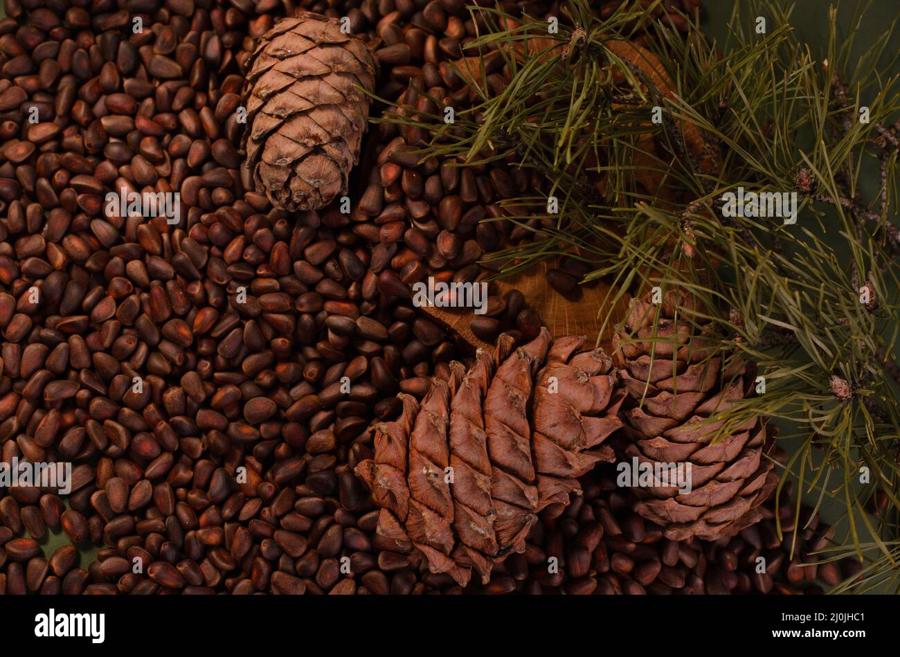 Edible cedar pine cones and nuts. Natural food background Stock Photo Alamy