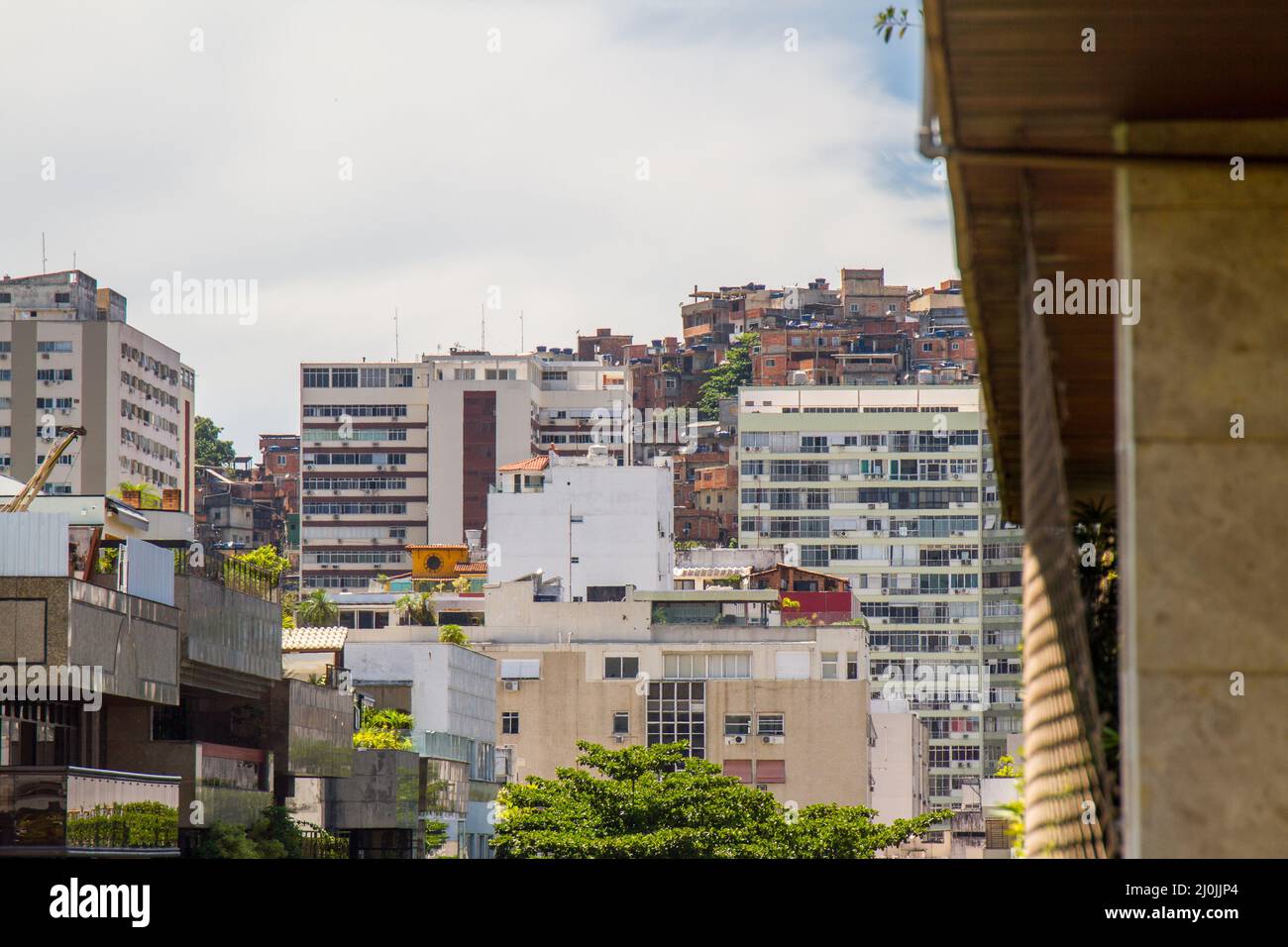 Gatos, cães e qual a melhor lente multifocal do mercado 
