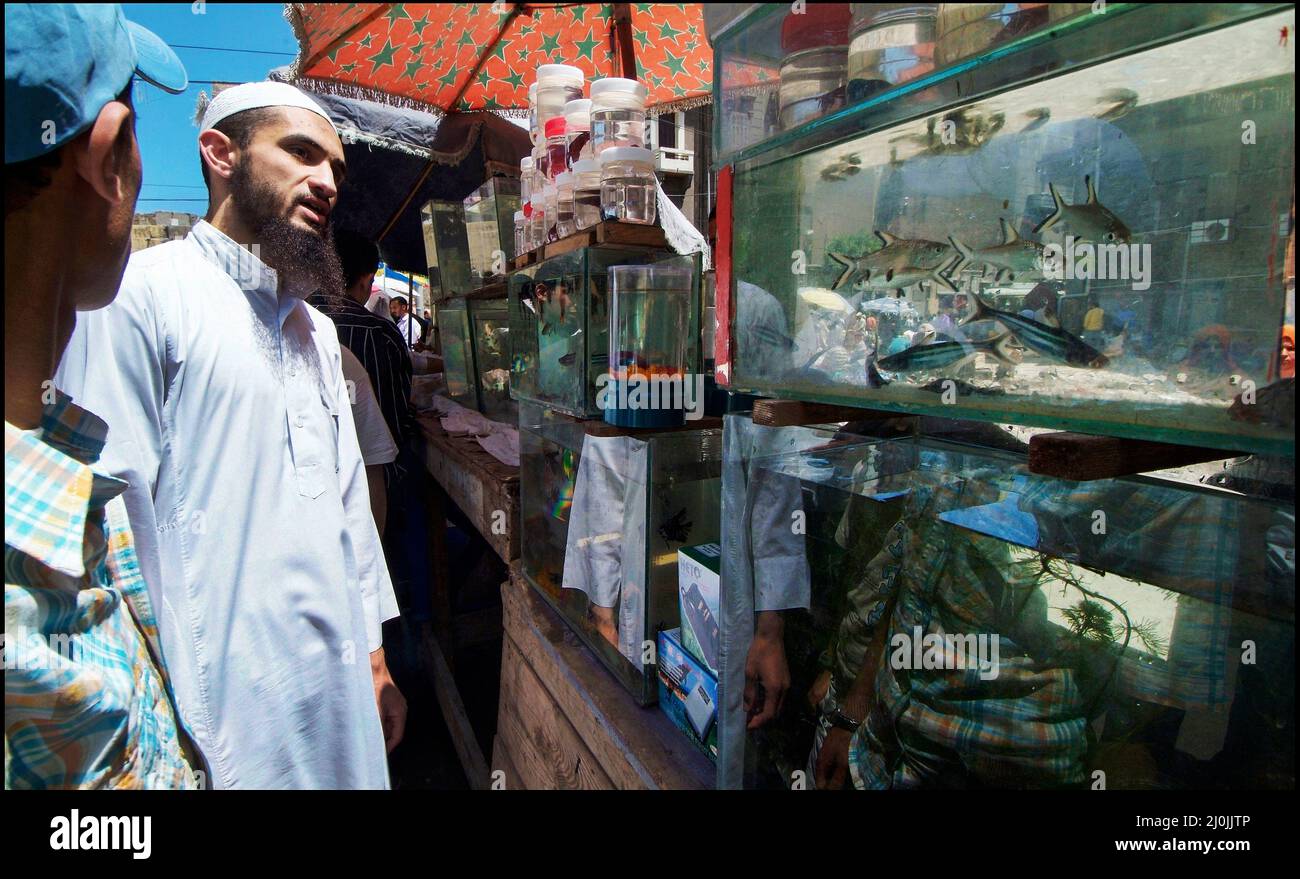 Fish market alexandria egypt hires stock photography and images Alamy