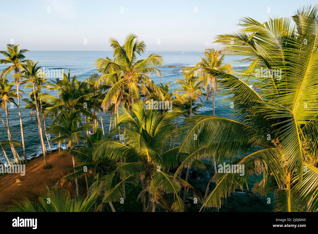 Coconut tree hill in Mirissa Beach. Sri Lanka Stock Photo Alamy