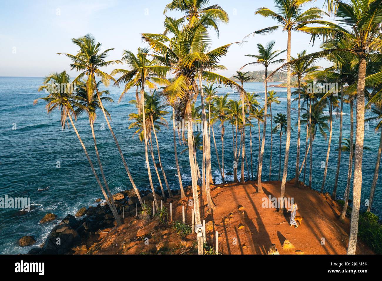 Coconut tree hill in Mirissa Beach. Sri Lanka Stock Photo Alamy