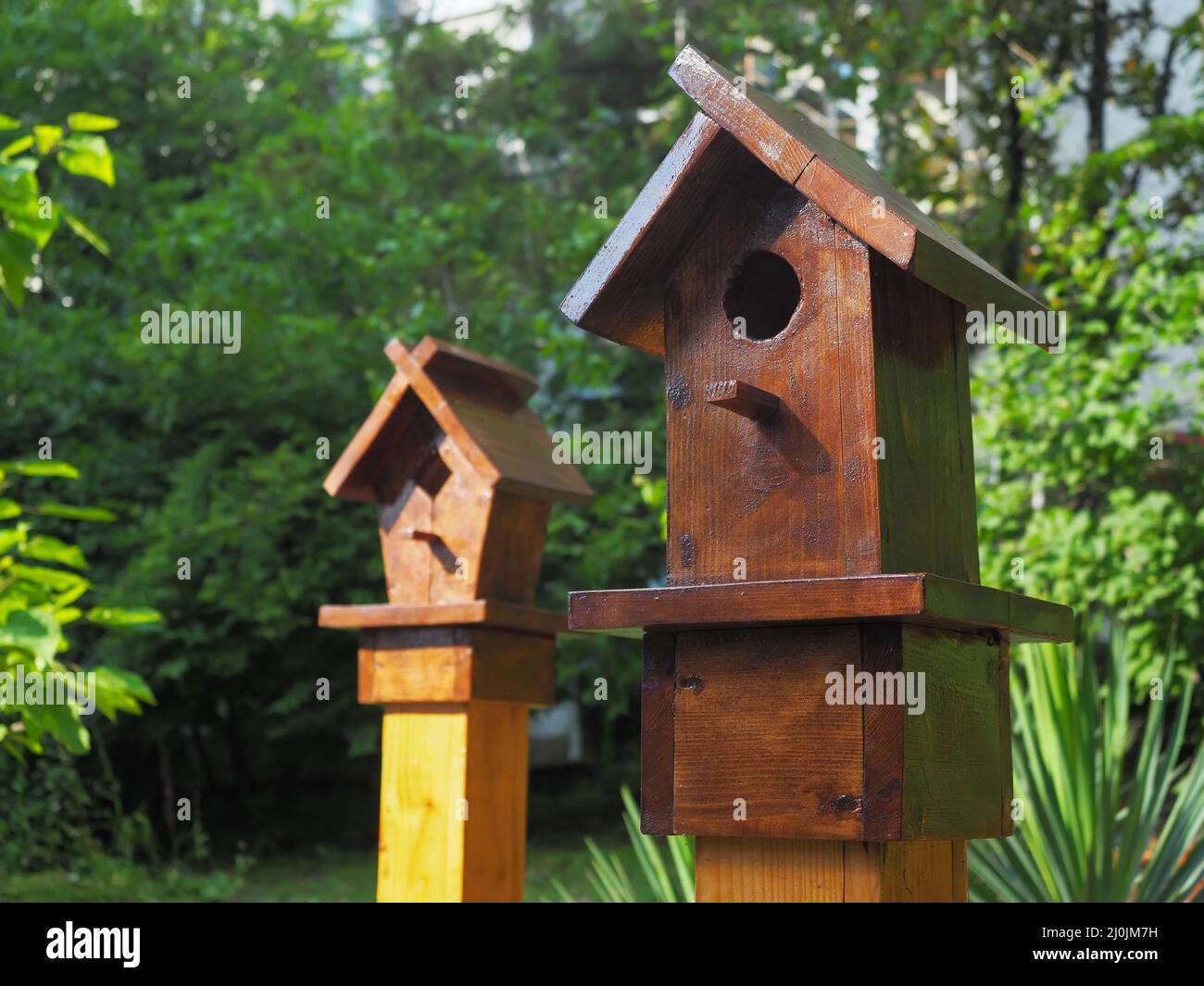 Two decorative wooden birdhouses on the background of park green plants. Closeup photo Stock Photo