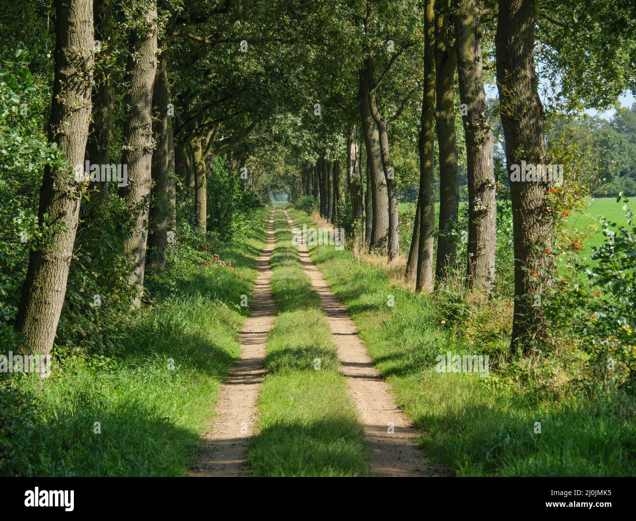 Hiking in the netherlands Stock Photo Alamy